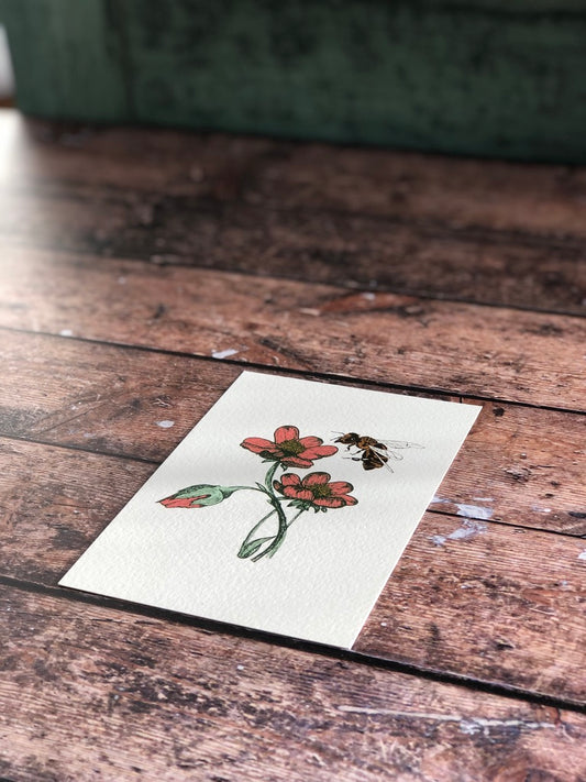 Carte postale - L'abeille