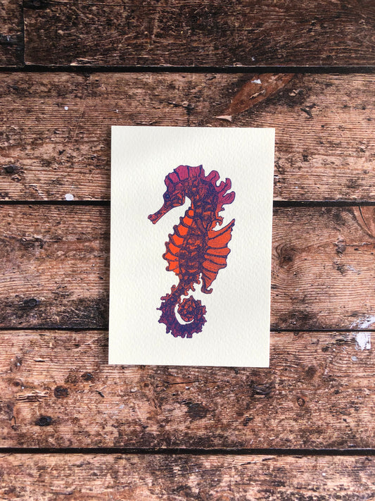 Carte postale - L'hippocampe