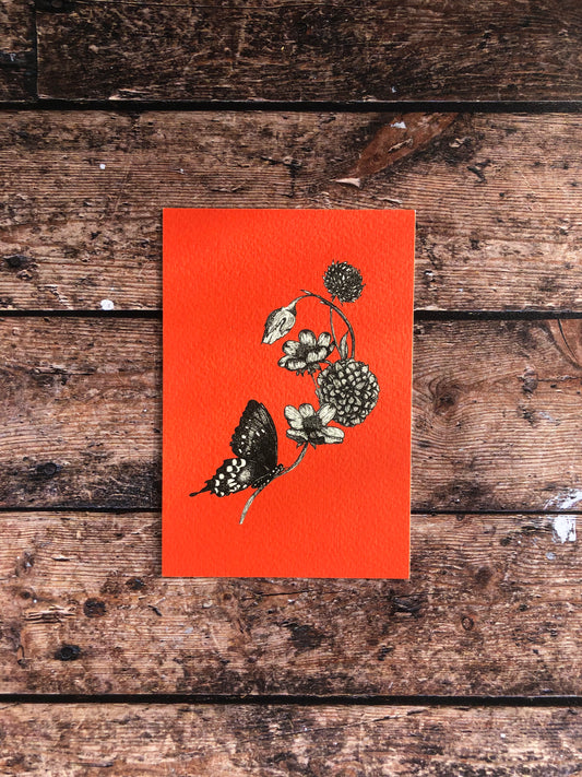 Carte postale - Papillon