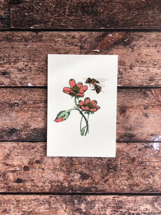 Carte postale - L'abeille