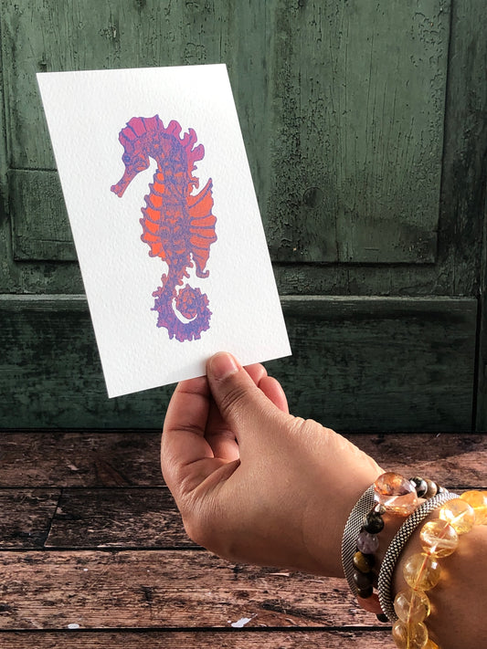 Carte postale - L'hippocampe