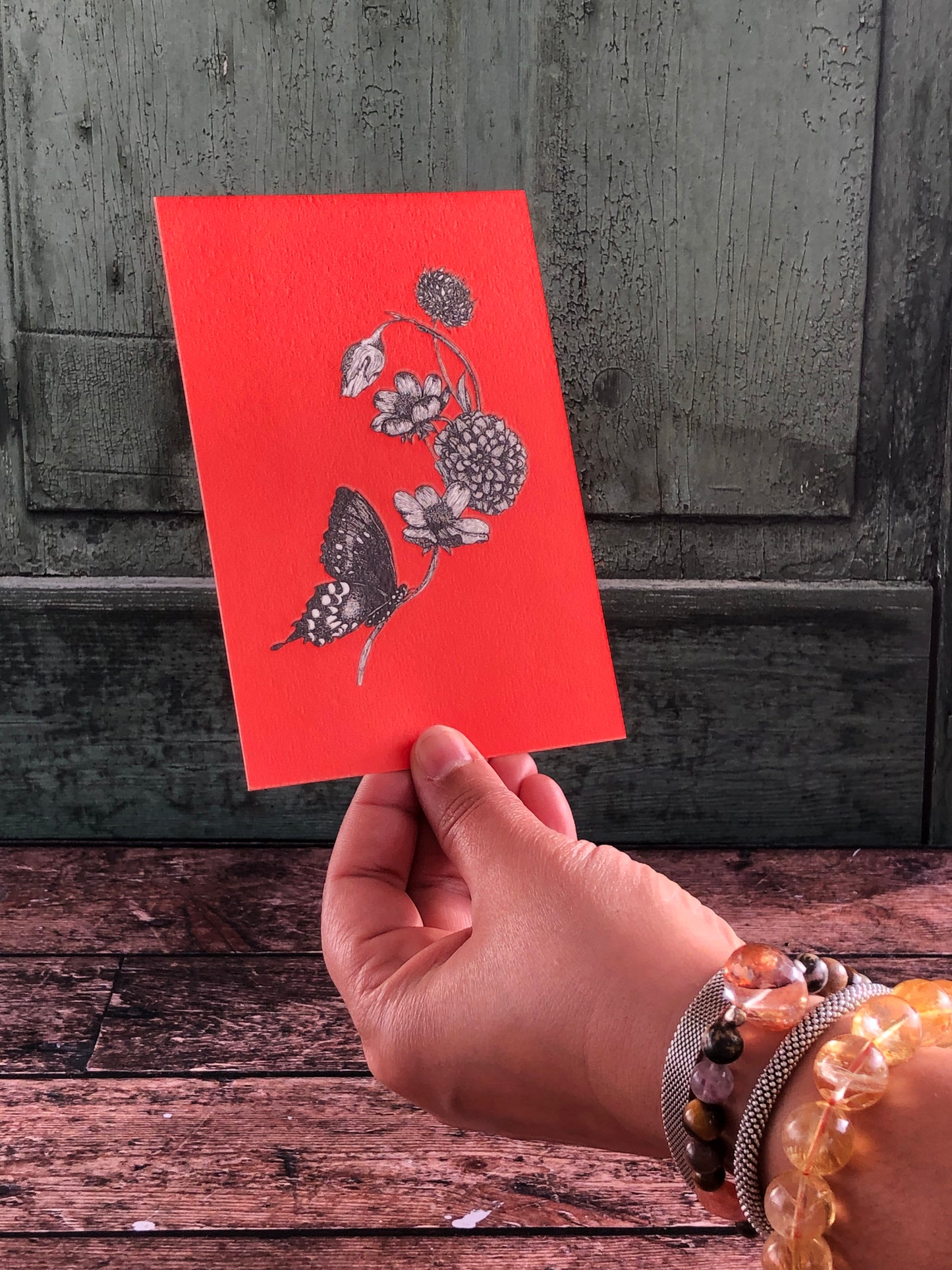 Carte postale - Papillon