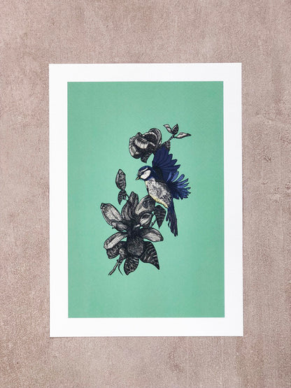 Affiche - La mésange